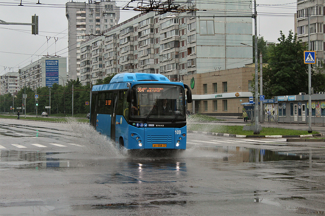 Автобусы димитровград. 29 Автобус.