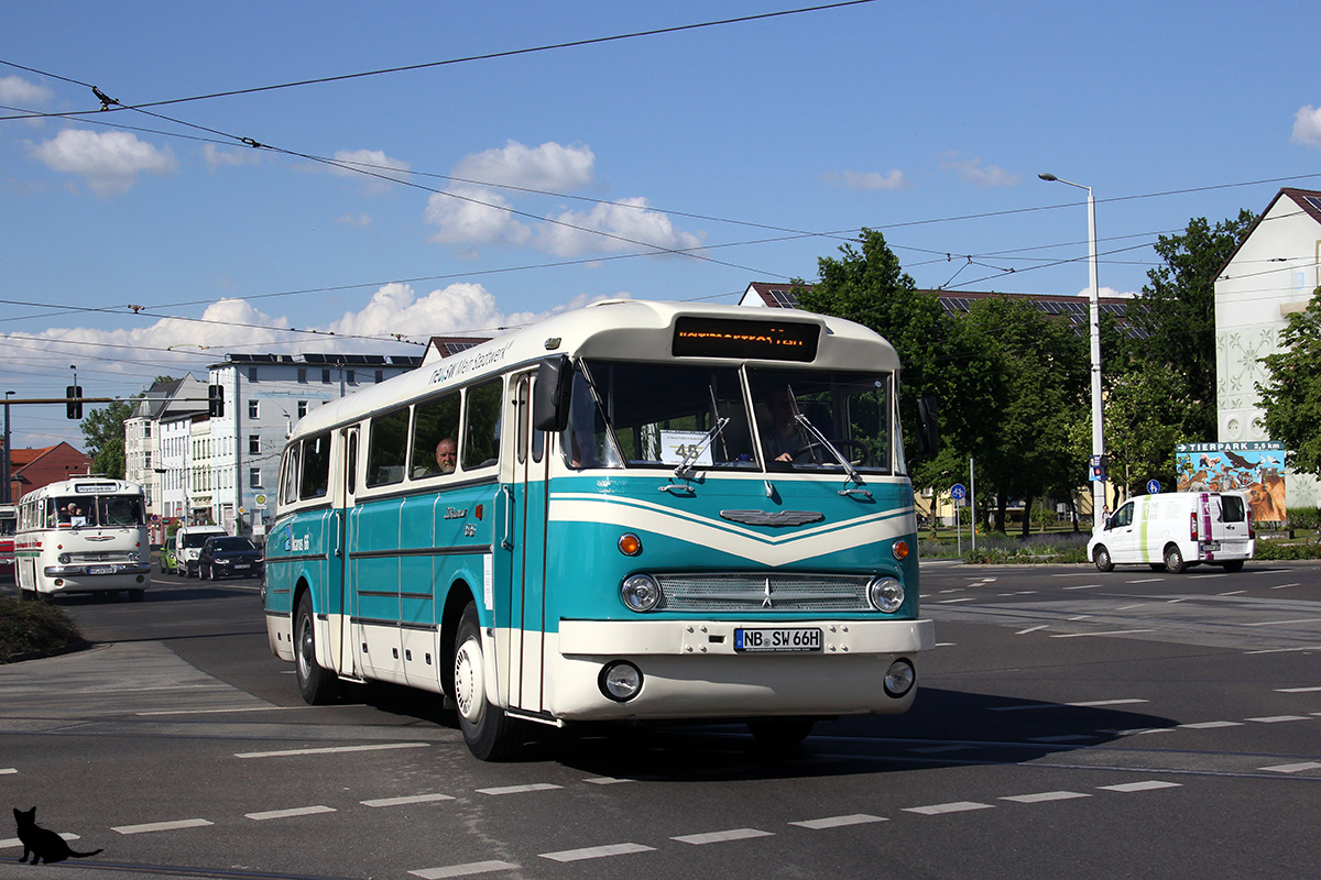 Germany, Ikarus  66.62 # NB-SW 66H; Germany — Tag der offenen Tür & 6. Ikarus-Bus-Treffen in Deutschland — Cottbus, 18.05.2019