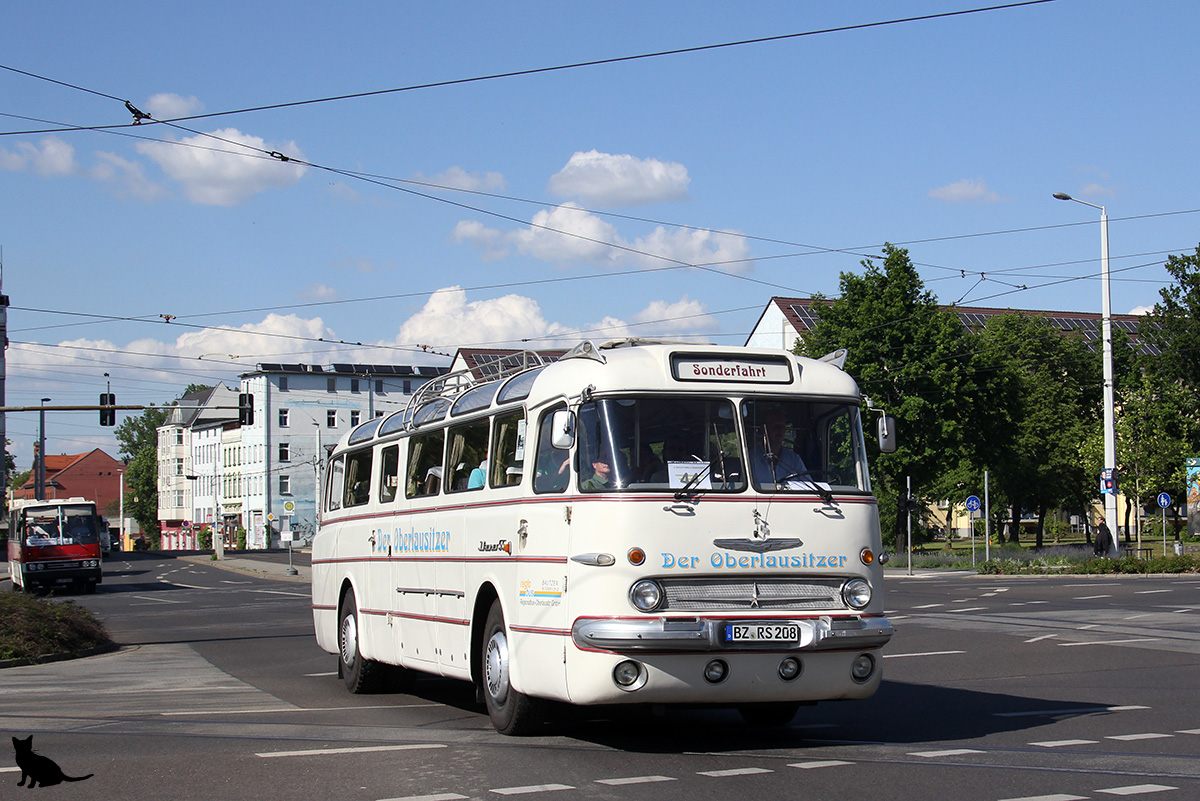 Germany, Ikarus  55.62 # 208; Germany — Tag der offenen Tür & 6. Ikarus-Bus-Treffen in Deutschland — Cottbus, 18.05.2019