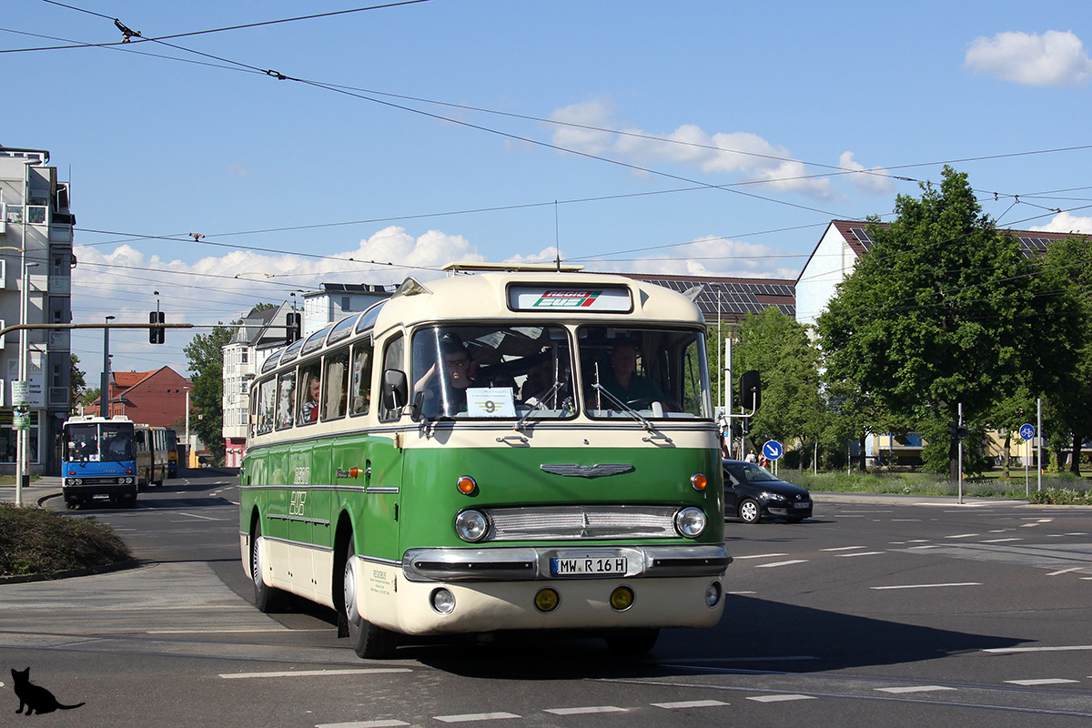 Germany, Ikarus  55 # 2160; Germany — Tag der offenen Tür & 6. Ikarus-Bus-Treffen in Deutschland — Cottbus, 18.05.2019