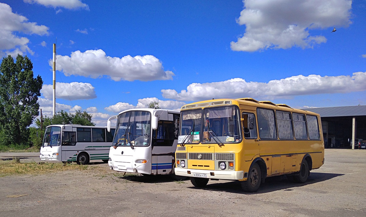 Авто губкин белгородская область