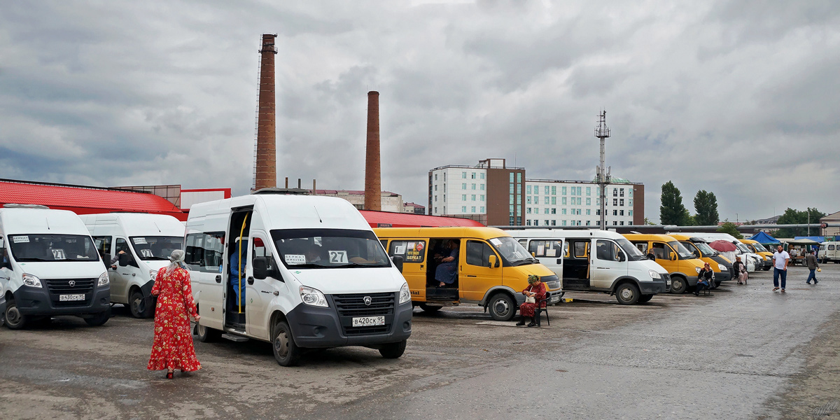 Газель в чечне