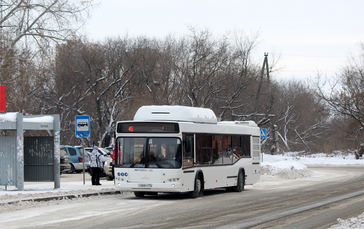 Авто куйбышев новосибирская область